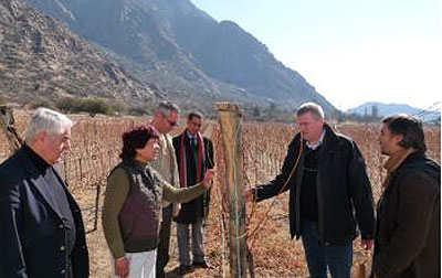 La delegación de franceses recorrió viñedos de cafayate 
