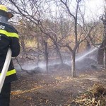 Se quemaron cerca de 100 hectáreas en Tolombón