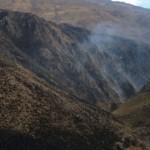 Cerca de cien hectáreas quemadas en Los Horcones