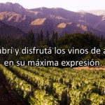Nueva edición de la Semana del Vino en Salta