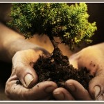 Programa de actividades para la Semana del Árbol en Cafayate