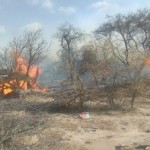 Un grave incendio arrasó con cuatro hectáreas de monte