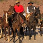 También cabalgan peregrinos a caballo desde San Carlos