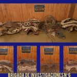 La Brigada de Investigaciones logró recuperar las monturas robadas en San Carlos
