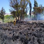 Un nuevo incendio, que se presume intencional, quemó 4 hectáreas en Angastaco