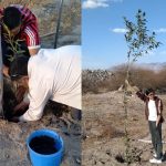 Un grupo de cafayateños se dedica a reforestar la costanera del Río Chuscha