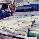 Secuestraron 640 kilos de coca en la ruta 40 cerca de Payogasta