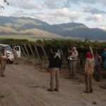 Finca Animaná: Continúa el paro de los trabajadores vitivinícolas