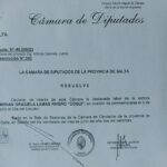 La Cámara de Diputados de la Provincia declaró de interés la trayectoria de Mirian «Coqui» Lamas en Locución