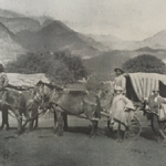 Historia del Transporte en Cafayate