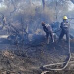Bomberos voluntarios acudieron a un incendio en Pueblo Nuevo