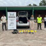 Gendarmería secuestró casi 31 kilos de cocaína escondidos en un auto en la ruta 68