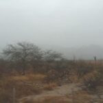 Clima en Cafayate: llegó la lluvia al valle