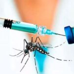 En agosto comenzará la vacunación nacional contra el dengue