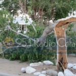 El viento quebró un árbol en el FONAVI