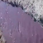 Fuerte repercusión por el «río de vino tinto” en Cafayate