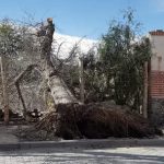 Graves daños por el viento zonda en Cafayate