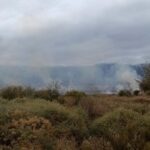 Bomberos voluntarios registraron un incendio forestal en San Carlos