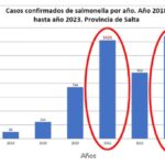 En Cafayate se registaron 37 casos de salmonella en 2023